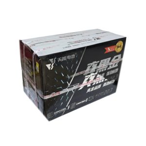 batería eléctrica Real Oro Negro 48V22.3H